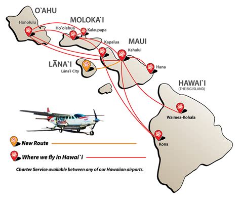 Airline route maps – Artofit