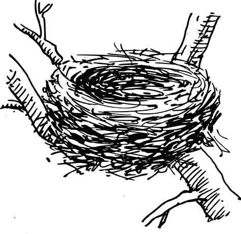 Bird Nest Drawing at GetDrawings | Free download