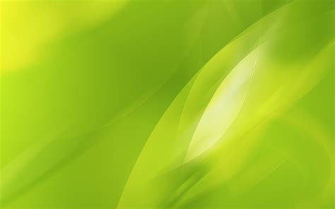 Lime Green Background Powerpoint - 2560x1600 Wallpaper - teahub.io