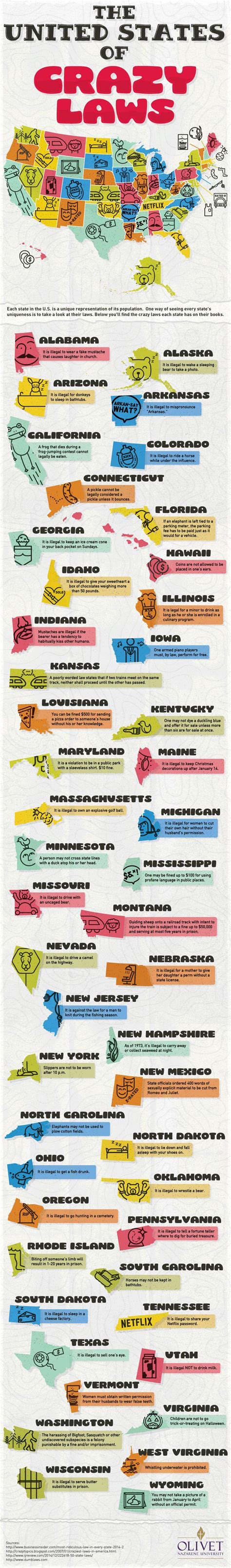 Weird US laws in each state : r/coolguides