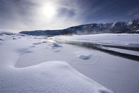 Lamar Valley in Winter stock photo. Image of white, locations - 49354222