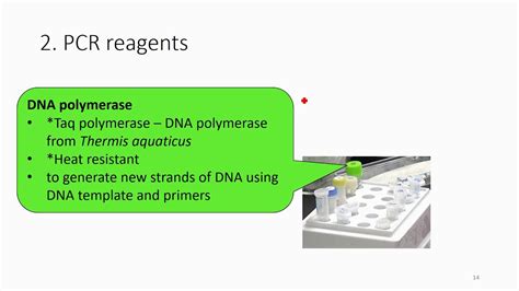 3.2 PCR reagents - YouTube