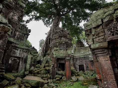 Ta Prohm Temple, Ta Prohm, siem reap, angkor | TakeMeTour