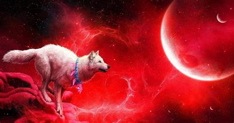 Red and Blue Wolf Wallpapers - Top Free Red and Blue Wolf Backgrounds ...