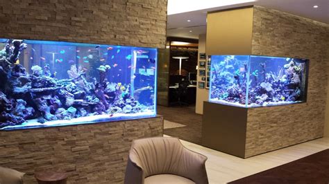 Fish tanks - innovativepikol