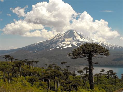 Chile Sorprendente : Volcán Llaima