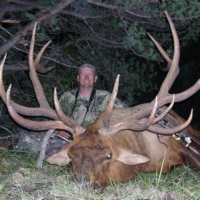 Big Bull Elk, Arizona | Hunting