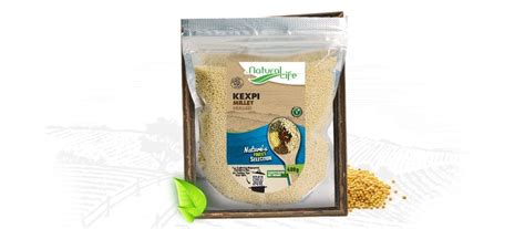 Yellow Millet | Nature's Finest Selection | Natural Life