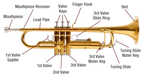 How to Play Trumpet: Basic Instruction For Beginner - Fire Inside Music