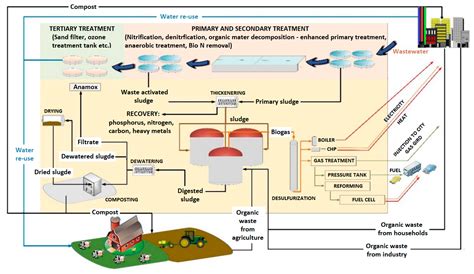 Sustainability | Free Full-Text | Sewage Sludge Management and Application in the Form of ...