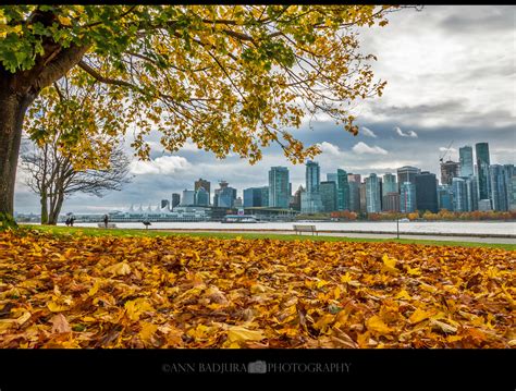 Fall colours in Vancouver's Stanley Park, BC, Canada | Flickr