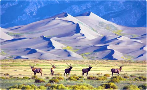 Great Sand Dunes National Park - Colorado