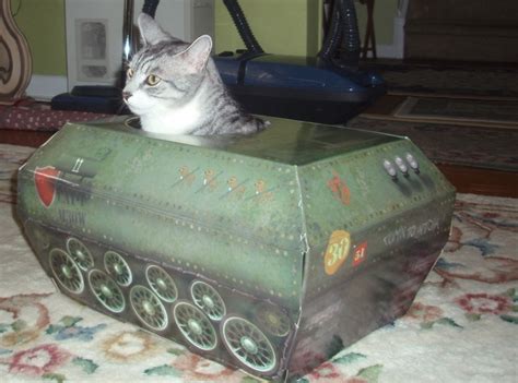 My Cat In Army Tank - Meme Guy