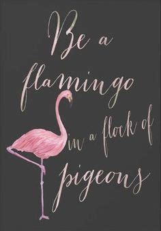 900+ Flamingos ideas | pink flamingos, flamingo, flamingo art