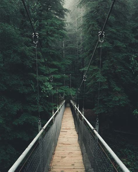 Forest Bridge Wallpapers - Top Free Forest Bridge Backgrounds ...