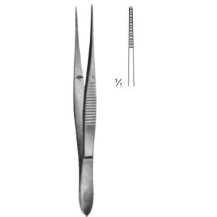 Dissecting Forceps – Lacigrus International