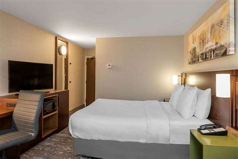 Comfort Inn Hamilton Rooms: Pictures & Reviews - Tripadvisor