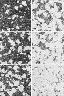 The Structure and Rate of Formation of Pearlite | SpringerLink