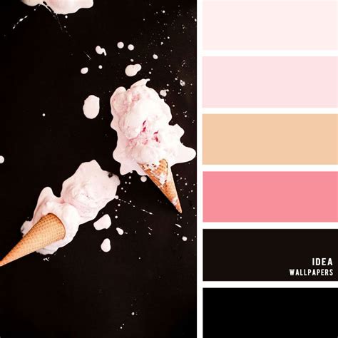 19 The Perfect Pink Color Combinations { Blush and Black } – Idea ...