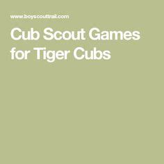 Cub Scout - Tiger