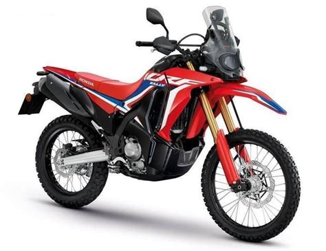 Honda CRF 300 L e Rally 2021: in arrivo una 250 maggiorata? - News - Moto.it