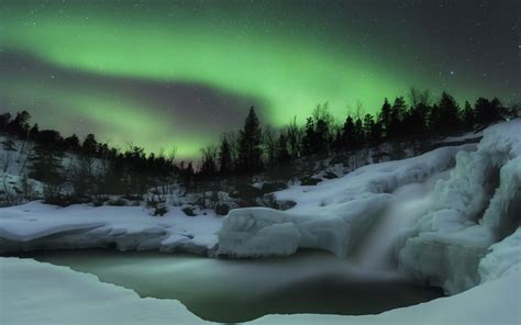 snow, Aurora borealis, Forest Wallpapers HD / Desktop and Mobile ...