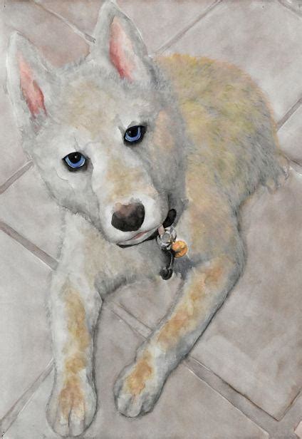 husky dog watercolor by secemolados on DeviantArt