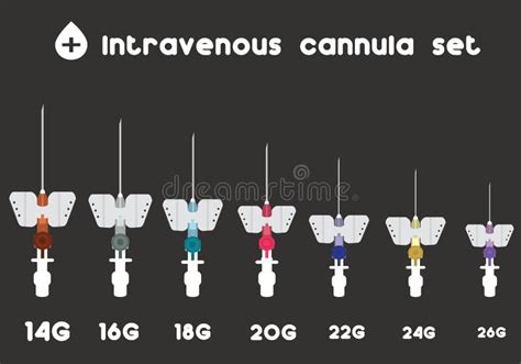 Intravenous Cannula Set. Different Sizes of Intravenous Cannula. Stock ...