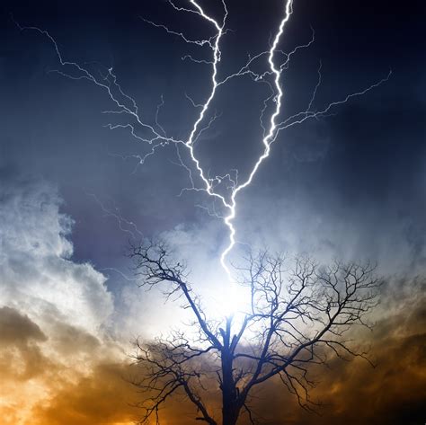 Struck by lightning - Rob Hoskins Rob Hoskins