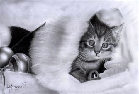 Pencil Drawings (20 pics)