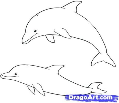 Step 9. How to Draw Dolphins | Dolphin drawing, Dolphin art, Animal ...