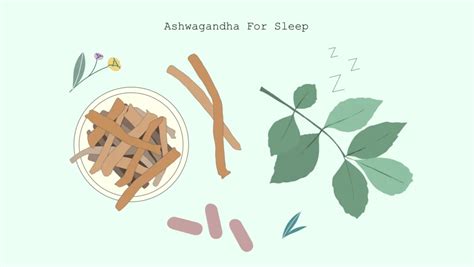 Ashwagandha For Better Sleep: Consumption, Dosage, and More - Sleep Guides