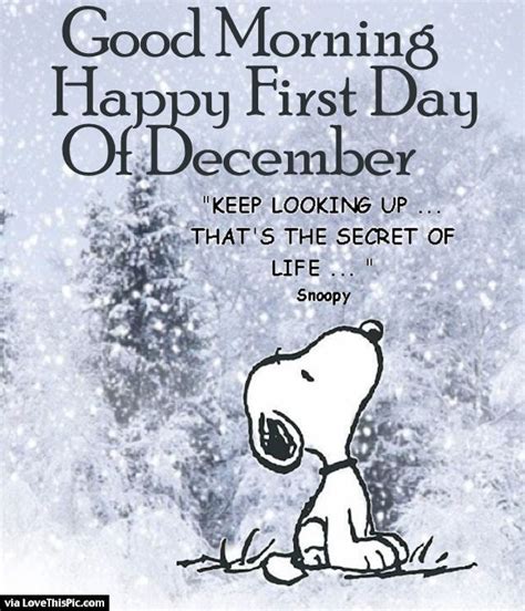 Good Morning Happy First Day Of December Pictures, Photos, and Images for Facebook, Tumblr ...