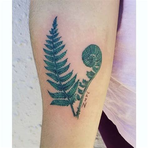 Custom New Zealand Fern and Koru 🌿💚 . . . .#newzealandfern #ferntattoo ...