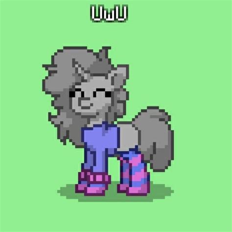 All my characters | Wiki | Pony Town Amino