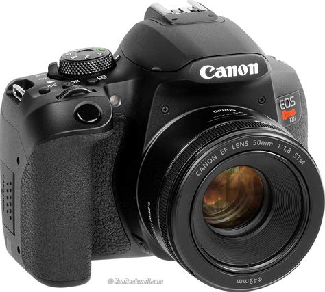 Canon T8i (EOS 850D) Review Aps C, Small Camera, Canon Eos Rebel, Canon ...