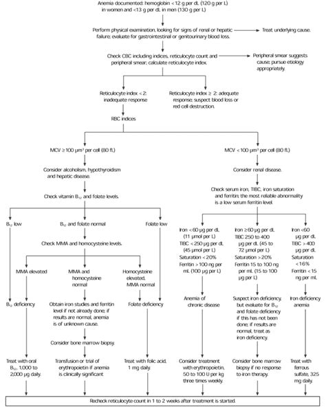 Anemia in the Elderly | AAFP