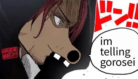 Rat hair shanks : r/MemePiece