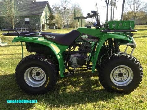 Yamaha Timberwolf 250 Green Timberwolf, Yamaha Motorcycles, 4 Wheeler, Old Bikes, Motorcycle ...