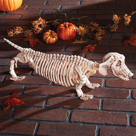 Dachshund Skeleton Halloween Decoration | Collections Etc.