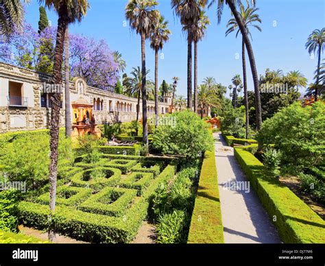 Gardens in Reales Alcazares in Seville - residence developed from a former Moorish Palace in ...