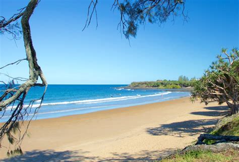 Local Attractions - Bundaberg Spanish Motor Inn: Bundaberg Motel ...