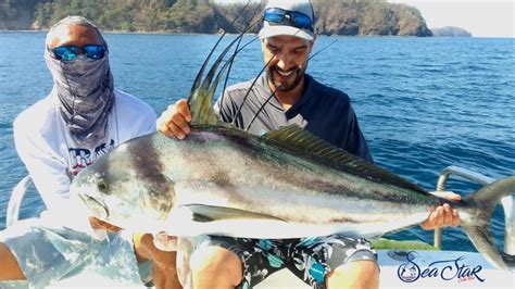 Flamingo Costa Rica, Fishing Report – Rooster Fish