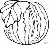 Watermelon coloring Page  Free Printable Coloring Pages sketch template