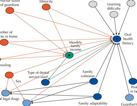 Figure. Directed Acyclic Graph (DAG) for effect of socio-demographic,... | Download Scientific ...