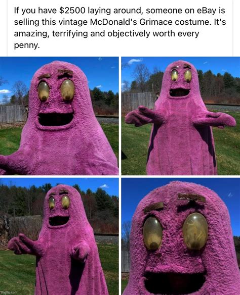 Vintage Grimace costume - Imgflip