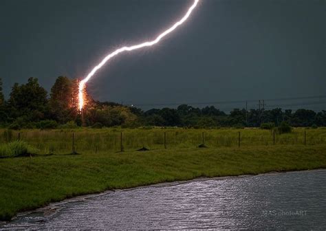 ITAP of lightning hitting a tree : r/itookapicture