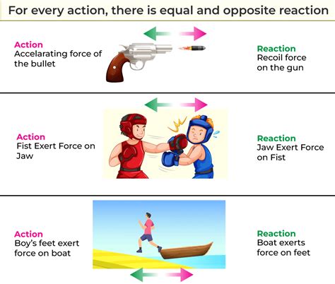 Newton's Third Law of Motion: Definition, Formula, and Examples | Physics Guide