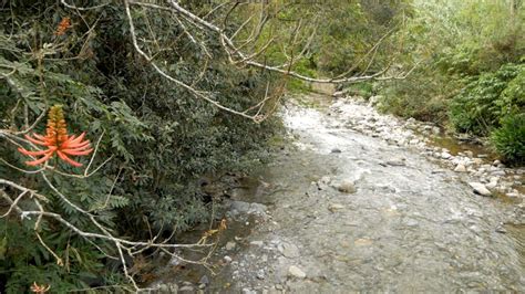 Vilcabamba Ecuador Hiking Rumi Wilco River | AmeliaAndJP.com