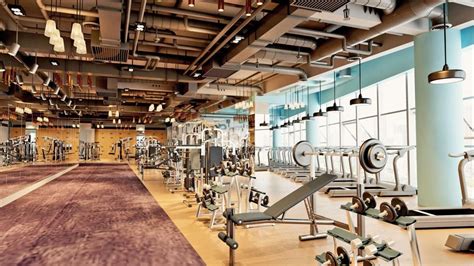 Puerto Rico Gym Owners Request to be Reinstated | Business ...